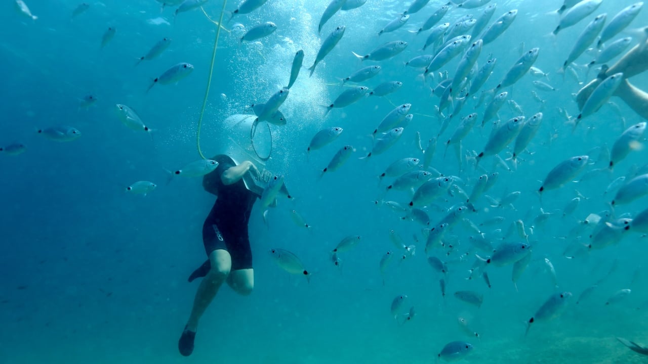 underwater
