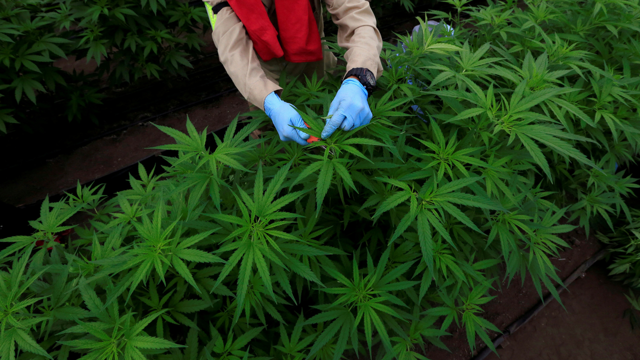 President Joe Biden pardons thousands convicted of 'simple possession' of marijuana President Joe Biden pardons thousands convicted of 'simple possession' of marijuana