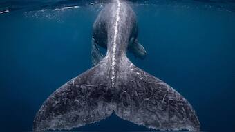 Nat Geo announces winners of the 2018 Travel Photographer of the Year contest