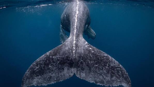 Nat Geo announces winners of the 2018 Travel Photographer of the Year contest