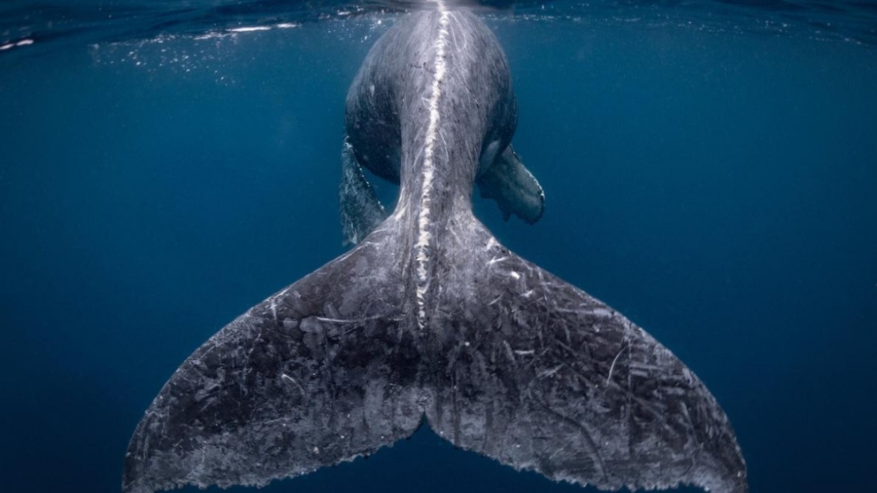 Nat Geo announces winners of the 2018 Travel Photographer of the Year contest Nat Geo announces winners of the 2018 Travel Photographer of the Year contest