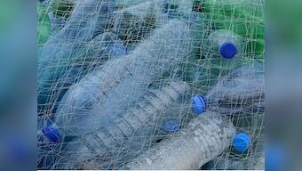 On Mahatma Gandhi's birth anniversary, Odisha will ban single-use plastic, including one-time use disposable cutlery, in all cities