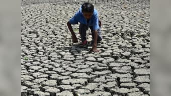 India's water crisis: Jharkhand's drying lakes, small water bodies portend disaster for state's hydrological system
