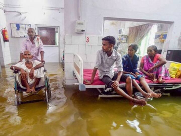Fish swim in Patna govt hospital's flooded ICU after downpour; staff switch off machines for fear of electrocution
