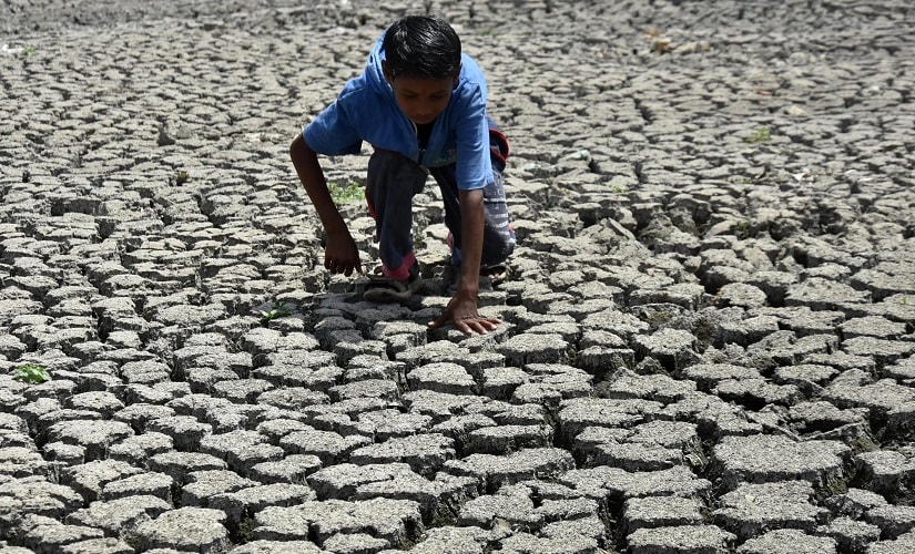 Jharkhand. A child plays in a dried pond in Krishna park, Ranchi. Image courtesy Manmohan Singh