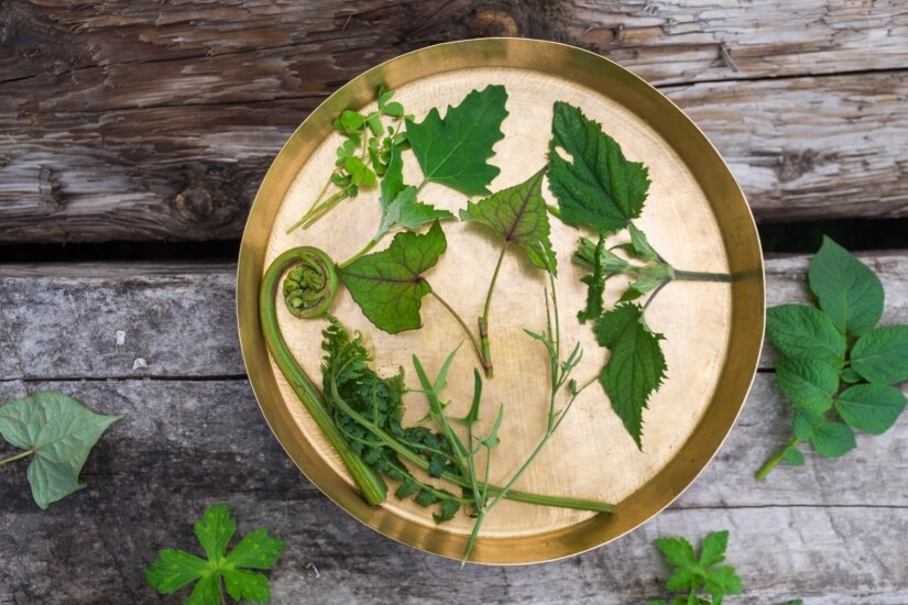 A number of our meals consisted of local greens which grow wild in these parts and are used to make gravies, chutneys, sauteed or added to other dishes