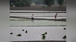 Punjab govt signs MoUs with Israel for agri research, water conservation and management