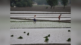 Punjab govt signs MoUs with Israel for agri research, water conservation and management