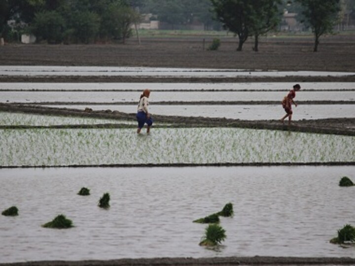 Punjab govt signs MoUs with Israel for agri research, water conservation and management