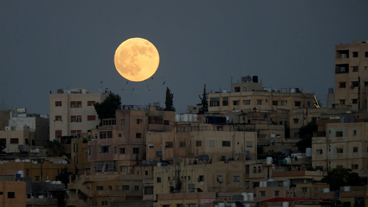 Amman looked lucky with a clear sky and massive view of the blood moon. It was a sight that brought solace to sore eyes. Location: Jordan, Image: Reuters Amman looked lucky with a clear sky and massive view of the blood moon. It was a sight that brought solace to sore eyes. Location: Jordan, Image: Reuters