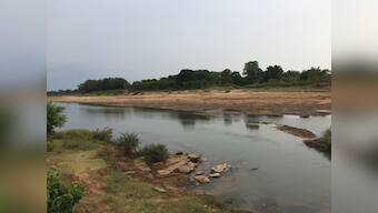 Bastar development offensive: Once a Maoist territory, Chitaloor village leads war on pollution, uses solar power for irrigation