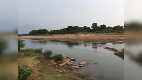 Bastar development offensive: Once a Maoist territory, Chitaloor village leads war on pollution, uses solar power for irrigation