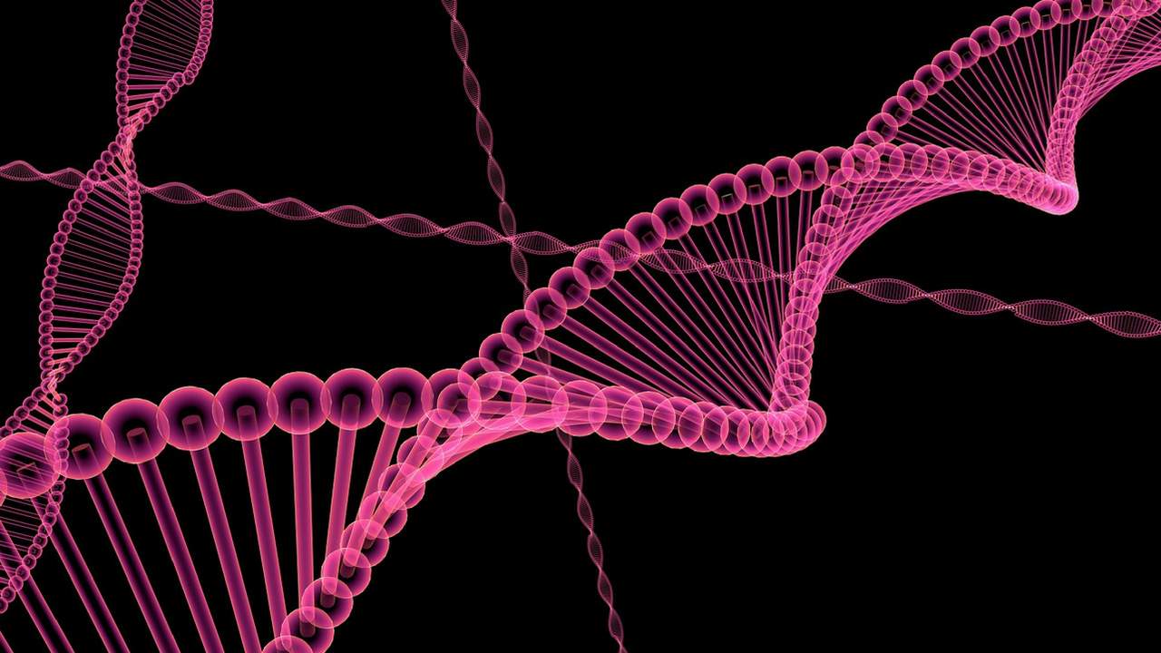 This 'DNA barcode' will provide personalised care for breast cancer patients This 'DNA barcode' will provide personalised care for breast cancer patients