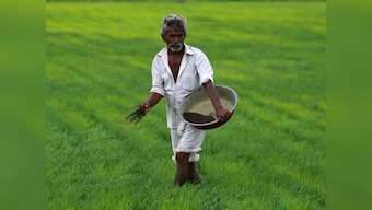 MSP hike: Centre's bonanza means little to farmers as govt lacks storage and funds needed to buy most of the produce