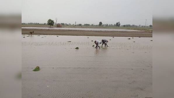 Climate change may reduce rabi and kharif crop earnings by up to 13.7% and 5.5%; farmers left to their own resources to cope