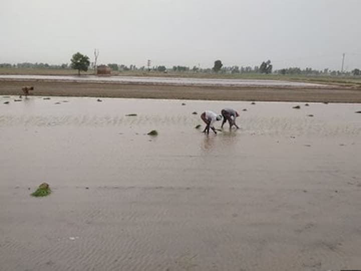 Climate change may reduce rabi and kharif crop earnings by up to 13.7% and 5.5%; farmers left to their own resources to cope