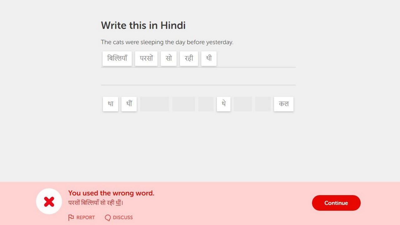 The finer differences corrected by the Duolingo bot