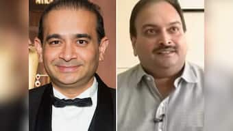 PNB fraud: MEA keen on extraditing Mehul Choksi and Nirav Modi, awaits response from authorities in Antigua, UK