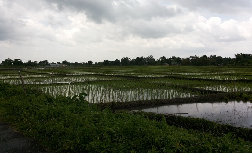 Assam govts reply to RTI query shows close to 4 lakh hectares of forest land has been encroached since 90s