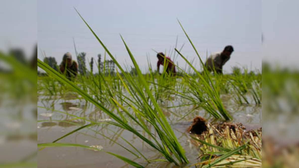 Centre to grant Rs 600 crore as interim relief to Maharashtra farmers whose Kharif crops were affected due to heavy October rains