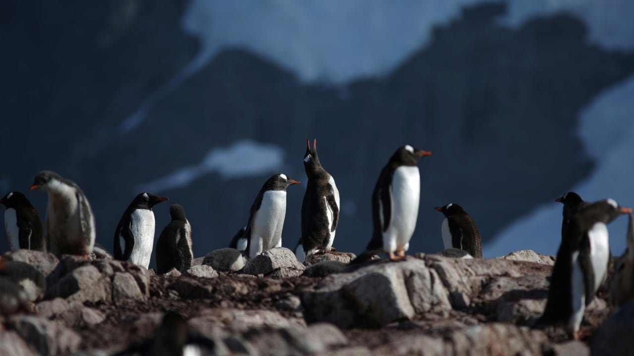 Representational image. Reuters