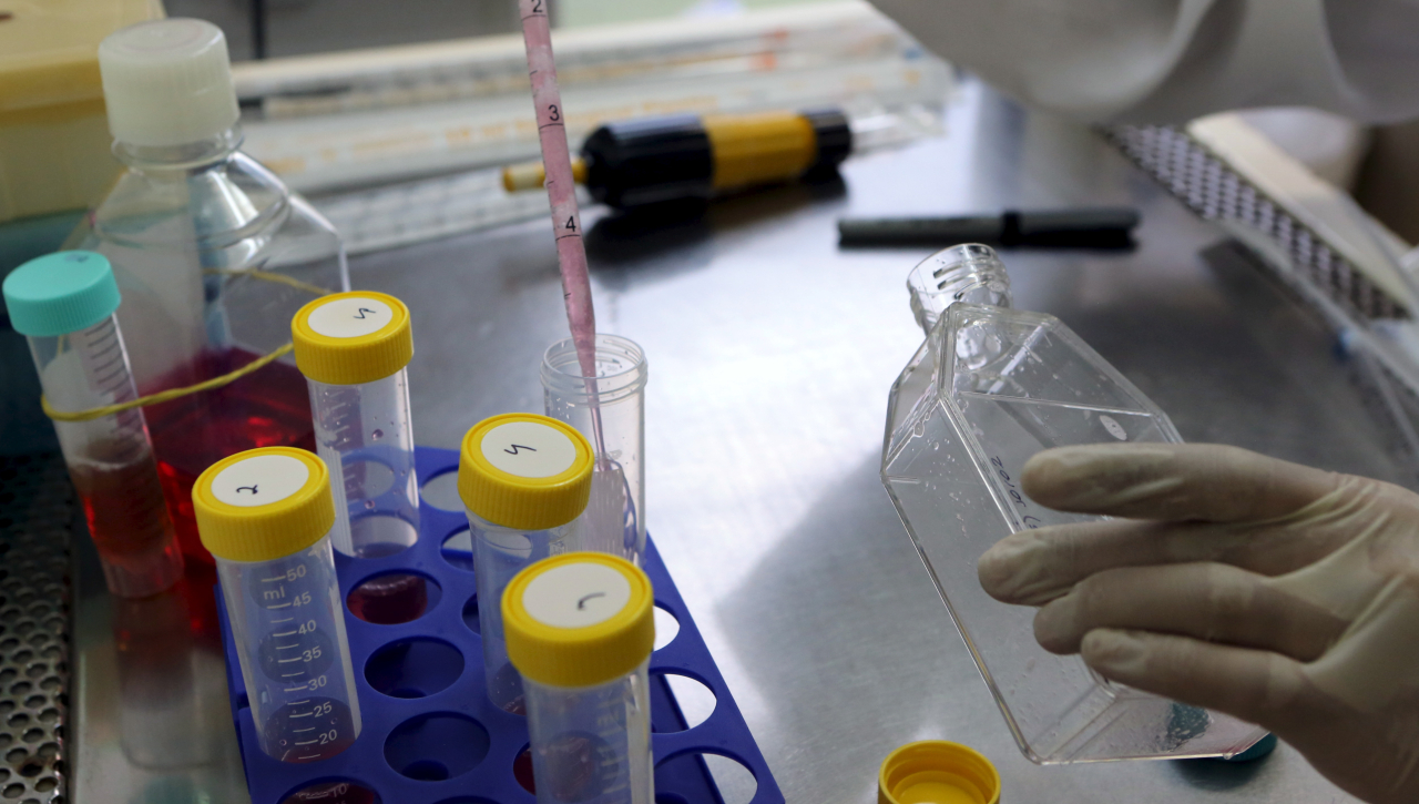 A new protein that could treat sepsis identified by IIT Roorkee scientists A new protein that could treat sepsis identified by IIT Roorkee scientists