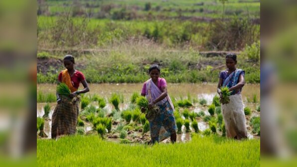 Kisan Kranti Yatra: After raising minimum support prices, will the Centre blink and waive farmers’ loans?