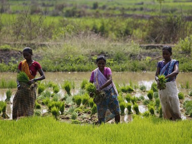Kisan Kranti Yatra: After raising minimum support prices, will the Centre blink and waive farmers’ loans? Kisan Kranti Yatra: After raising minimum support prices, will the Centre blink and waive farmers’ loans?