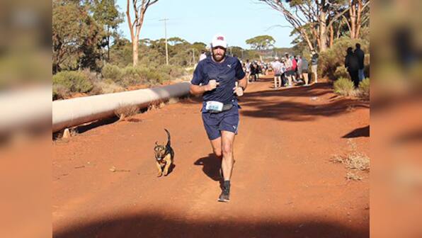 Stray dog named Stormy runs half-marathon in outback Australia, rewarded with medal for his efforts