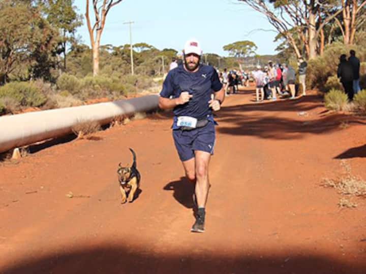Stray dog named Stormy runs half-marathon in outback Australia, rewarded with medal for his efforts Stray dog named Stormy runs half-marathon in outback Australia, rewarded with medal for his efforts