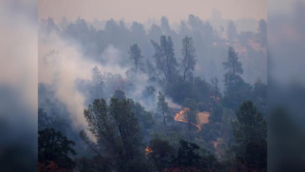 Erratic winds, dry conditions fuel California wildfires that killed 6, destroyed 517 buildings and damaged 135