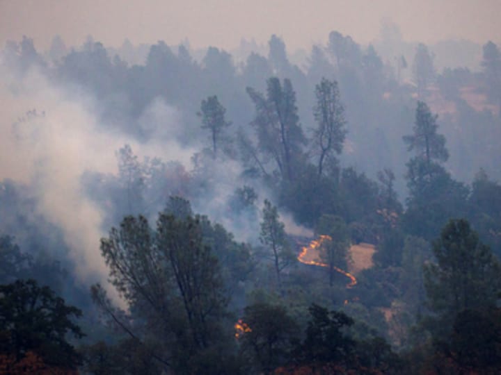 Erratic winds, dry conditions fuel California wildfires that killed 6, destroyed 517 buildings and damaged 135