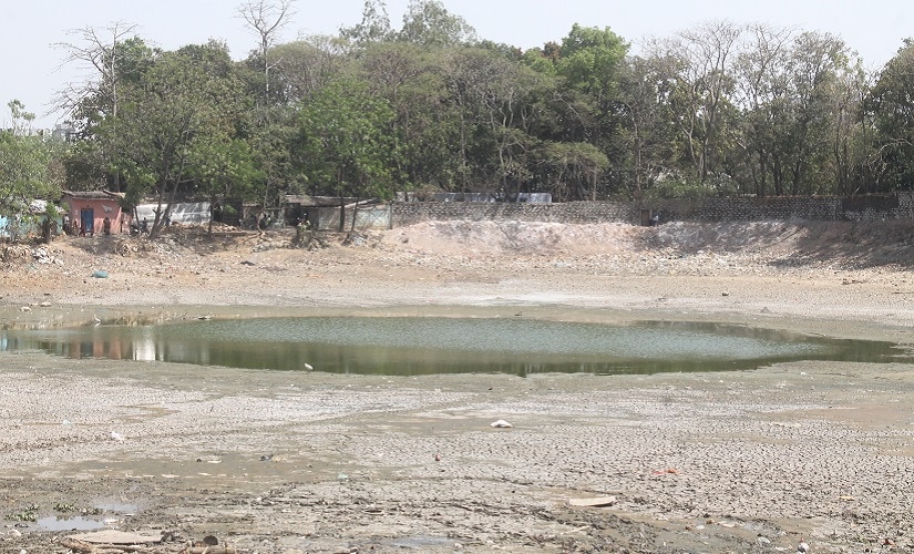 Water in Ranchi's farm ponds has been drying up due to increased silt deposits. Image courtesy Debjani Chakraborty