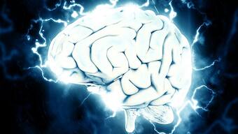 No two people, including twins, share the same brain anatomy: Study