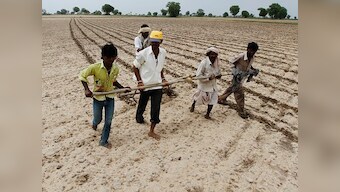 Vidarbha's cotton farmers dread repeat of last monsoon's pink bollworm attack which destroyed 80% of their crop