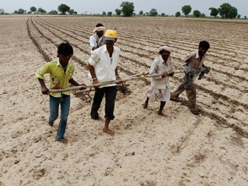 Vidarbha's cotton farmers dread repeat of last monsoon's pink bollworm attack which destroyed 80% of their crop Vidarbha's cotton farmers dread repeat of last monsoon's pink bollworm attack which destroyed 80% of their crop