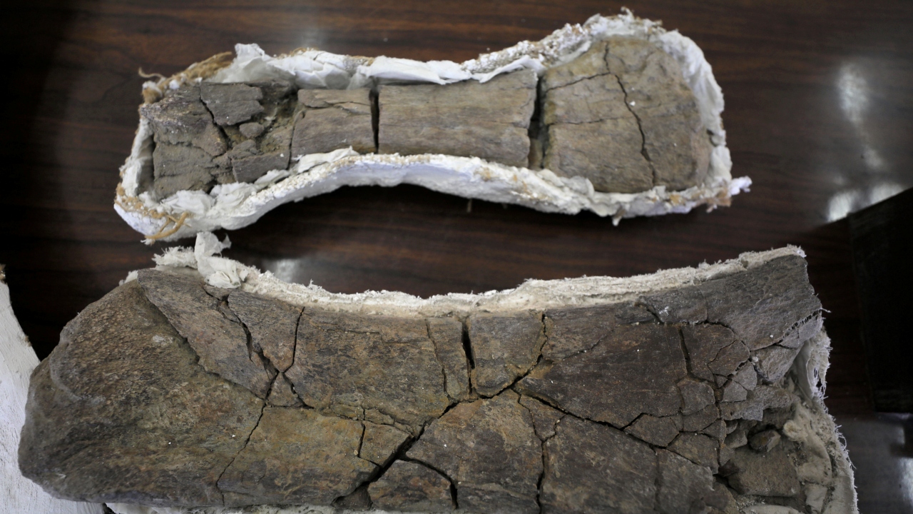 Archeologists find remains of a 200-million-year old giant dinosaur in Argentina Archeologists find remains of a 200-million-year old giant dinosaur in Argentina