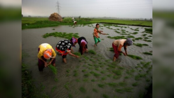 Farm loan waivers to touch $40 billion by 2019 Lok Sabha elections, says Bank of America Merrill Lynch report
