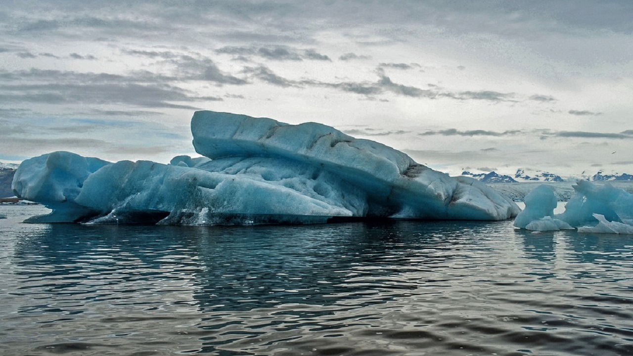 Global warming caused by Earth's first animals over 500 million years ago: Study Global warming caused by Earth's first animals over 500 million years ago: Study