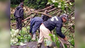 Over 100 trees cut in Kodagu for chief minister HD Kumaraswamy’s one-day visit; DC says order was 'misinterpreted'