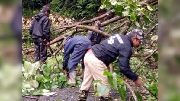 Over 100 trees cut in Kodagu for chief minister HD Kumaraswamy’s one-day visit; DC says order was 'misinterpreted'