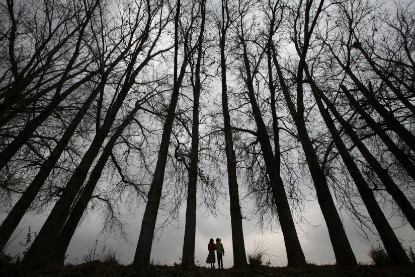 Representational image. Reuters
