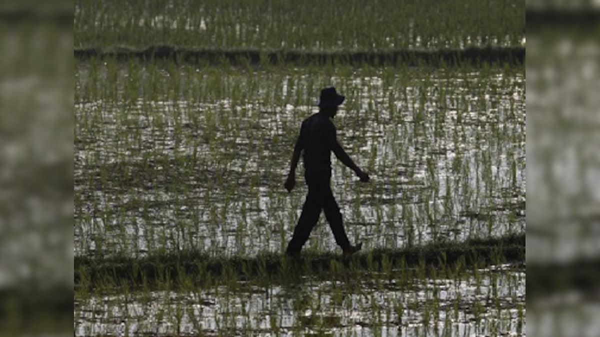 Tackling India's water woes: Active citizenry, govt checks on unsustainable use and river pollution needed to address crisis