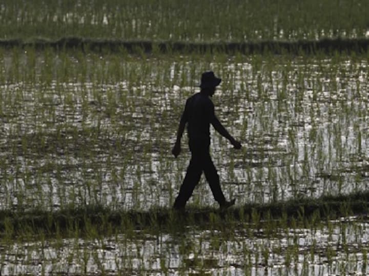 Tackling India's water woes: Active citizenry, govt checks on unsustainable use and river pollution needed to address crisis