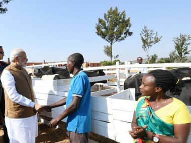 Narendra Modi in Rwanda: PM gifts 200 cows to villagers in African country under Girinka programme