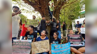 NGT bans felling of trees in south Delhi colonies till 19 July, issues notices to NDMC, NBCC