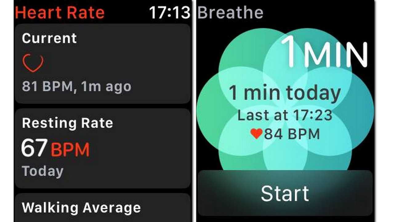 Heart Rate and Breath apps are the go to wellness apps on the Watch.