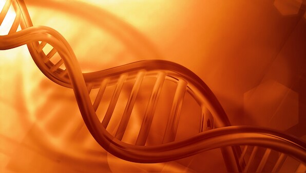 University of California to be granted patent of CRISPR gene-editing tech: Report