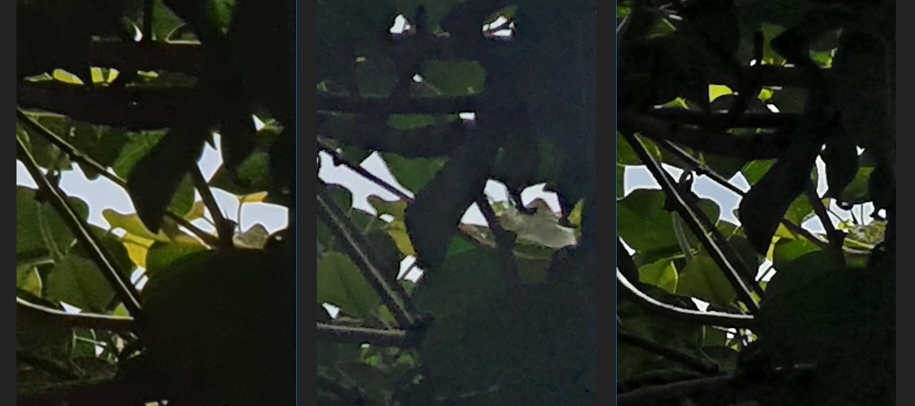 It's all in the details and the iPhone X severely lacked them here. Image: tech2/ Sheldon Pinto.