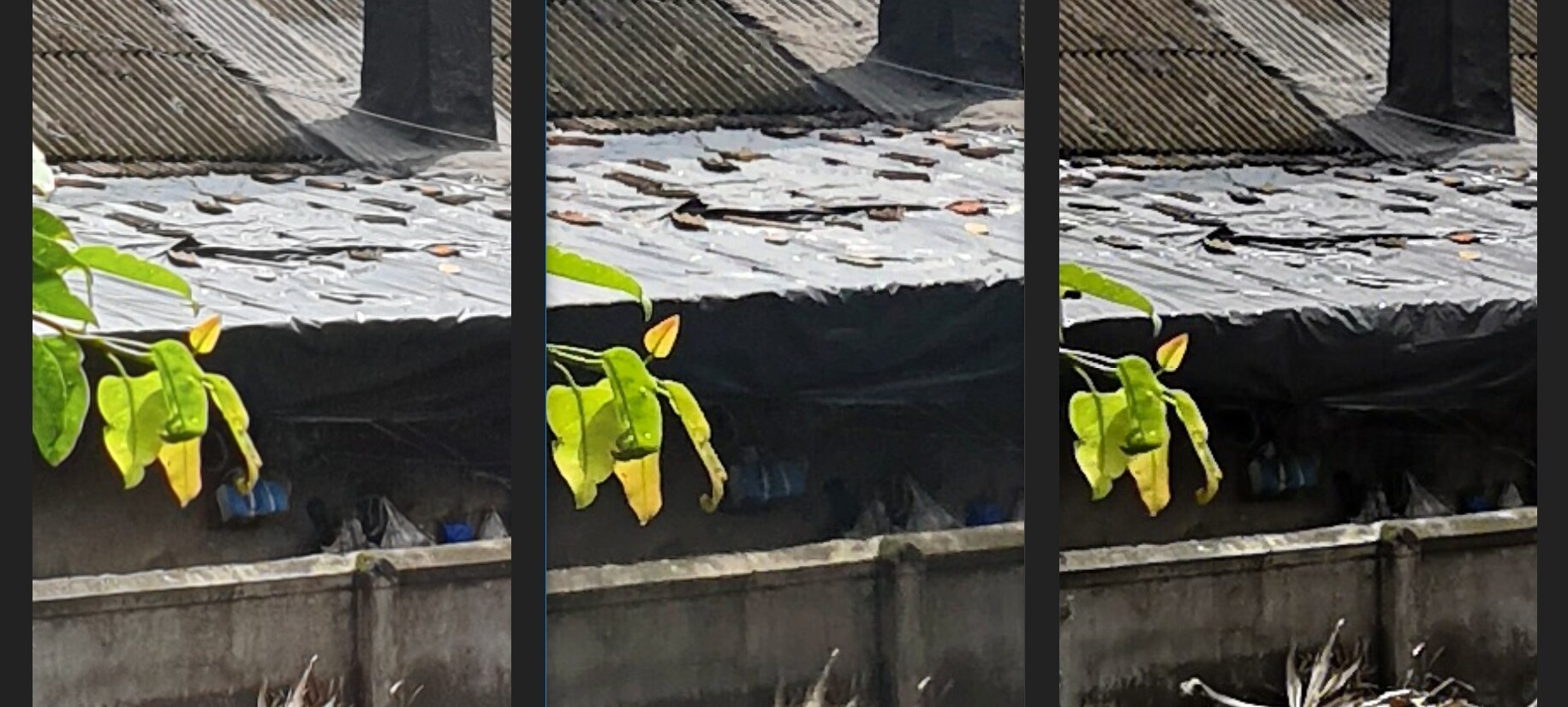 The darker areas of the bright scene saw the most details from the Note 9 with iPhone X coming in at second. Image: tech2/ Sheldon Pinto.